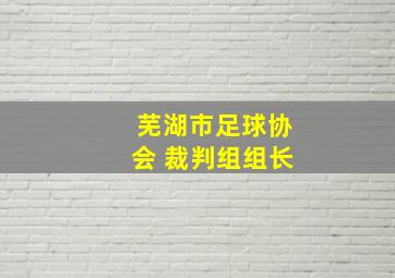 芜湖市足球协会 裁判组组长